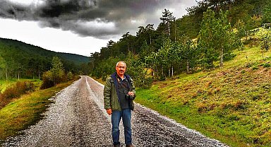 Peyzaj ile tarihi ağaçlar zarar görebiliyor