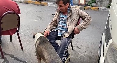 "7 Bela Taner" cinayetinde yaralanan "Bobi"ye mahalleli sahip çıktı