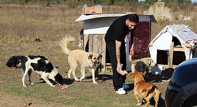 "Daha sonra alacağız" diyerek 80 köpeği boş araziye bıraktılar