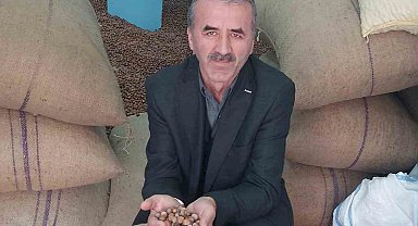 Rekolte düşüklüğü fındık üreticisini zora soktu