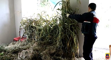 Rize'de 5 ilçede yapılan eş zamanlı operasyonlarda 14 kişi gözaltına alındı