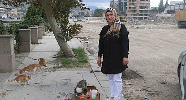 Sağlık çalışanı, sayıları 100'ü aşan sokak hayvanlarının umudu oldu
