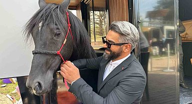 Sahibi, yanından ayırmadığı atı için özel karavan yaptı