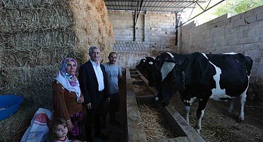 Şahinbey Belediyesi'nin destekleri ile hayvancılık gelişiyor