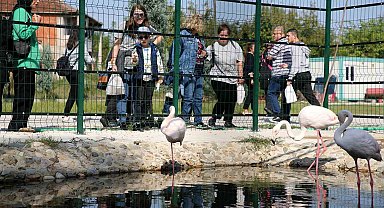 Sakarya Büyükşehir'in özel çocukları doğanın tadını çıkardı