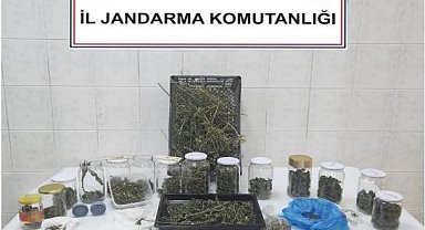 Sakarya'da 70 kilo kubar esrar ele geçirildi: 7 tutuklama