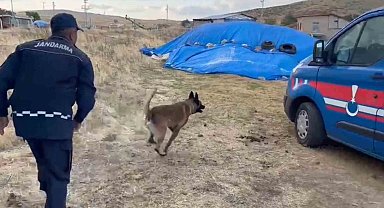 Saman yığınından uyuşturucu çıktı: Narkotik köpeği böyle buldu