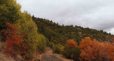 Şamatur Yaylası'nda sonbaharın renkleri