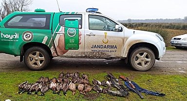 Samsun'da kaçak avcılara ve hayvanlara kötü davrananlara ceza yağdı