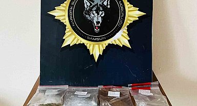 Samsun'da narkotik uygulaması