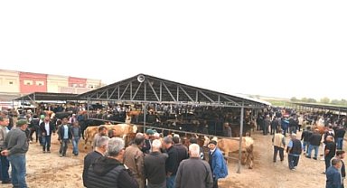 Sandıklı' da hayvan pazarı yeni yerinde açıldı