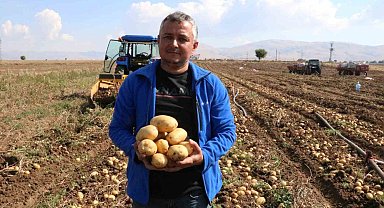 Sandıklı'da 40 bin dekar alanda ekim yapılan patateste hasadın sonuna yaklaşıldı