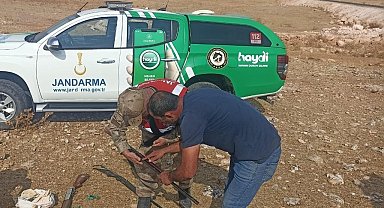 Şanlıurfa'da kaçak avcılara 57 bin lira ceza