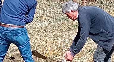 Şaphane'ye yaban mersini bahçesi tesis edilecek