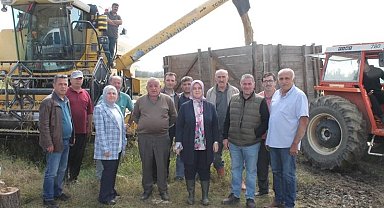 Saray mutfağı pirincinin hasadı başladı