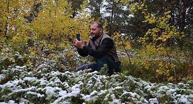 Sarıçam ormanları beyaz örtüyle kaplandı