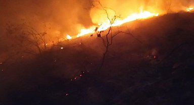 Sarıgol'de orman yangını