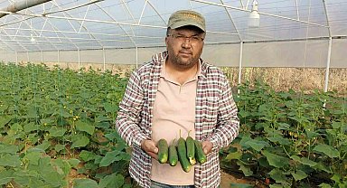 Sarıgöllü girişimci serada yılda iki ürün alıyor