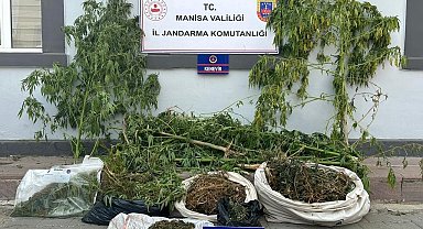 Sazlıkların arasında kenevir ve esrar ele geçirildi
