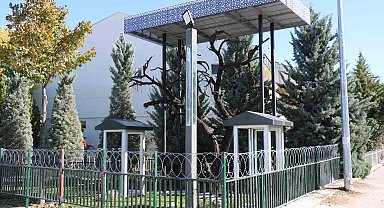 Şehitler Ağacı'ndan asker künyesi çalan kadın ve oğluna para cezası