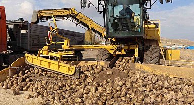 Şeker pancarı alım fiyatı ton başına bin 855 lira