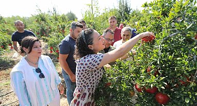 Selçuk nar tanesi ile şenlendi: Üreticiye destek, ürünlere tanıtım