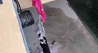 Şemsiye ve kıyafetle kedi kurtarma operasyonu kamerada