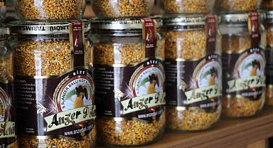 Şifa deposu Anzer Poleni bu yıl Anzer Balı ile aynı fiyata satılacak