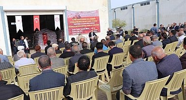 Siirt'te çiftçilere mercimek tohumu desteği