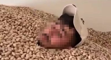 Siirt'te fıstık deposunda yüzen şüpheli gözaltına alındı