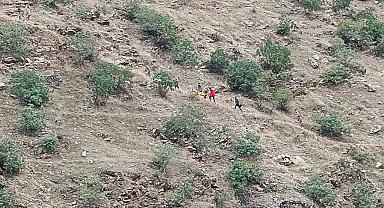 Siirt'te menengiç toplamaya giden kız yamaçtan yuvarlanarak yaralandı