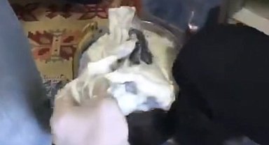 Silahları yoğurt satırına gizlediler, jandarmayı geçemediler