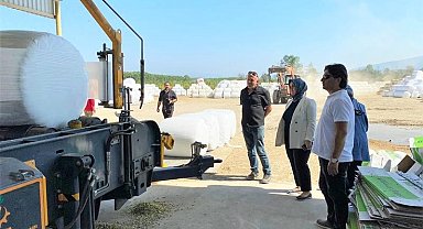 Silajlık mısır hasadı sürüyor