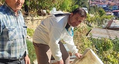 Simav'da arı kovanı sayımı ve destekleme işlemleri