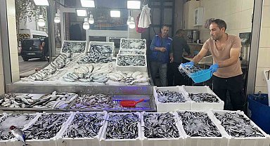 Sinop hamsisi 40 liraya düştü