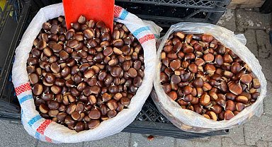 Sinop kestanesi tezgahlarda: Kilosu 250 lira