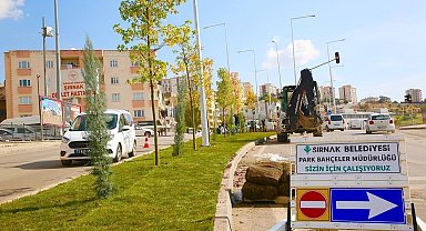 Şırnak belediyesi yeşillendirme çalışmaları başlattı