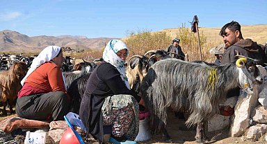 Şırnak'ta berivanların şartlarının iyileştirilmesinde devletten tam destek