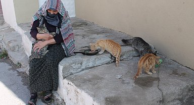 Sokak hayvanlarına adanmış yarım asır: Bayburtlu kadın 50 yıldır sahipsiz hayvanlara gözü gibi bakıyor