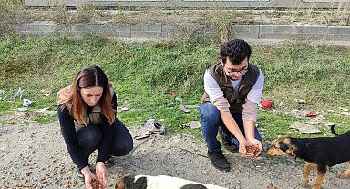 Sokak hayvanlarına mama bırakıldı