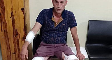 Sokak köpeklerinin saldırısına uğrayan Ersoy isyan etti