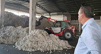 Söke TARİŞ'in iki deposuna 3 milyon kilogram pamuk girişi oldu
