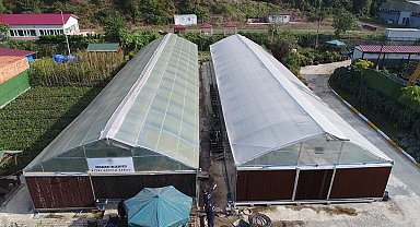 Son teknolojik seralarda üretim yapıyorlar