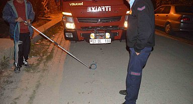 Su kuyusunda mahsur kalan kediyi itfaiye ekipleri kurtardı