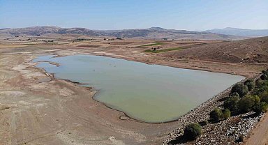 Su seviyesi yüzde 80 düştü, ağaçlar ortaya çıktı