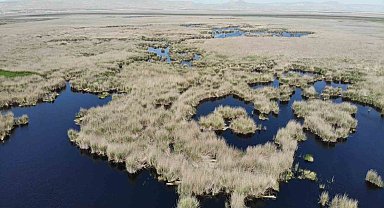 Sultan Sazlığı'na Tesisler Geliyor