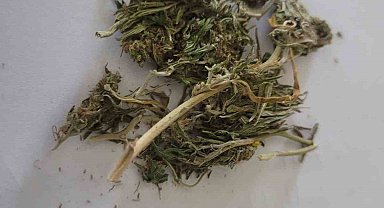 Şüpheli şahısların üzerinde uyuşturucu madde ele geçirildi