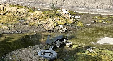 Suyu kesilen Porsuk Çayı'nda kirli görüntü dikkat çekiyor