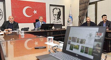 Talas Millet Bahçesi 'Karbon Yutak Alanı' Olacak