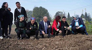 Tarım akademisinde hasat zamanı